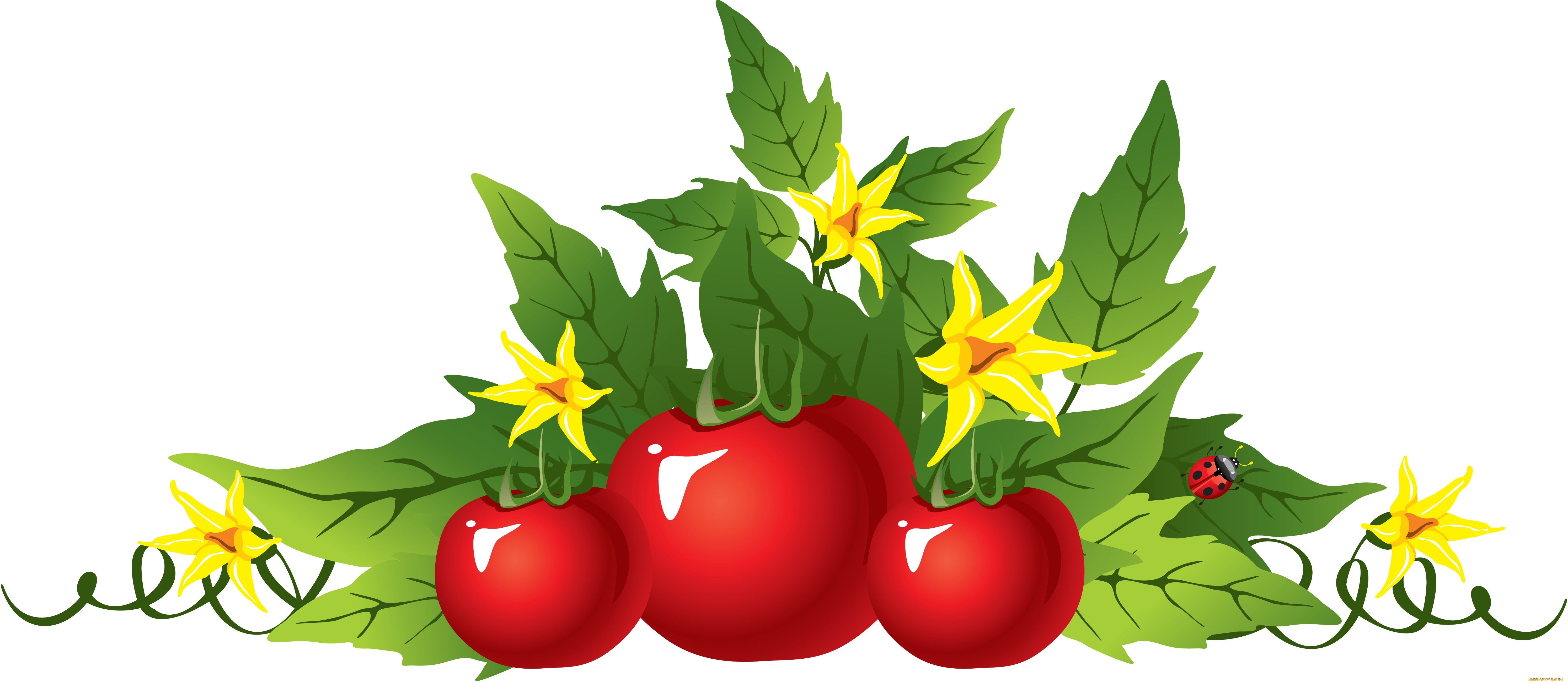  ,  , food, , , , , , 